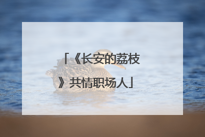 《长安的荔枝》共情职场人