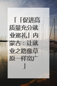 「促进高质量充分就业巡礼」内蒙古：让就业之路像草原一样宽广