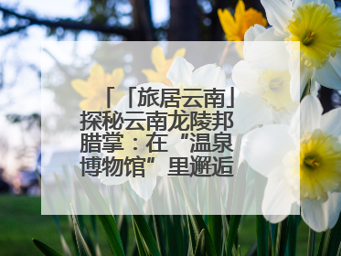 「旅居云南」探秘云南龙陵邦腊掌：在“温泉博物馆”里邂逅诗意康养生活