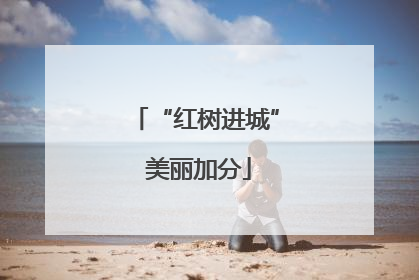 “红树进城” 美丽加分