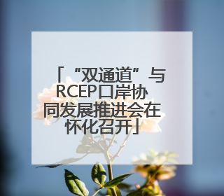 “双通道”与RCEP口岸协同发展推进会在怀化召开