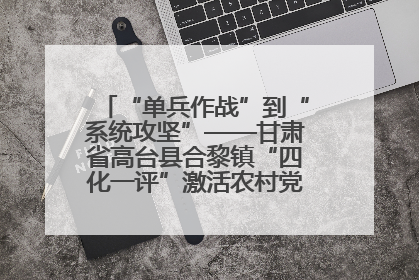 “单兵作战”到“系统攻坚”——甘肃省高台县合黎镇“四化一评”激活农村党员管理新引擎