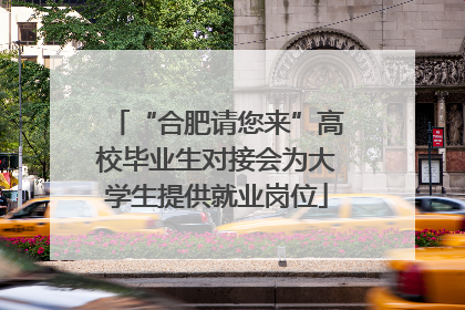 “合肥请您来”高校毕业生对接会为大学生提供就业岗位