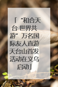 “和合天台 世界共游”万名国际友人直游天台山首发活动在义乌启动