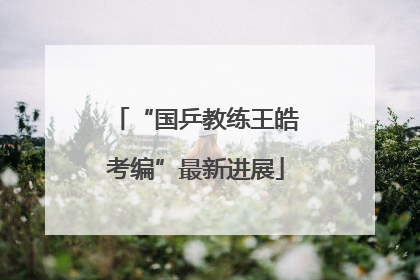 “国乒教练王皓考编”最新进展