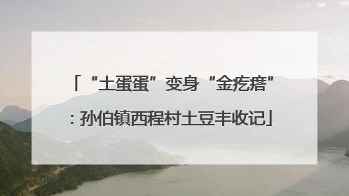 “土蛋蛋”变身“金疙瘩”：孙伯镇西程村土豆丰收记