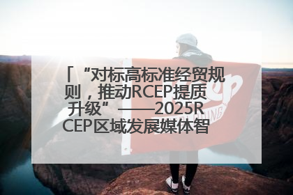 “对标高标准经贸规则，推动RCEP提质升级”——2025RCEP区域发展媒体智库论坛举行专题对话
