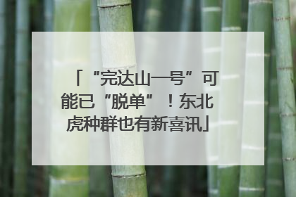 “完达山一号”可能已“脱单”！东北虎种群也有新喜讯