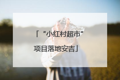 “小红村超市”项目落地安吉