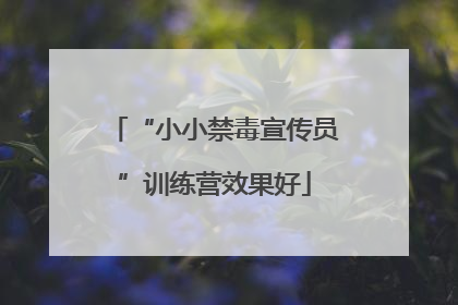 “小小禁毒宣传员”训练营效果好