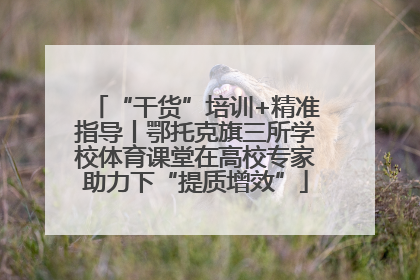“干货”培训+精准指导丨鄂托克旗三所学校体育课堂在高校专家助力下“提质增效”