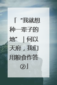 “我就想种一辈子的地”｜何以天府，我们用粮食作答②