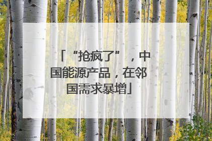 “抢疯了”，中国能源产品，在邻国需求暴增
