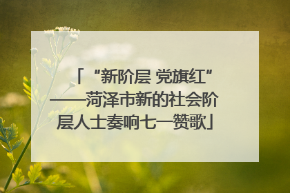 “新阶层 党旗红”——菏泽市新的社会阶层人士奏响七一赞歌