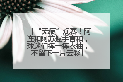 “无痕”观赛！阿连和阿苏握手言和，球迷们挥一挥衣袖，不留下一片云彩