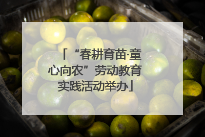 “春耕育苗·童心向农”劳动教育实践活动举办