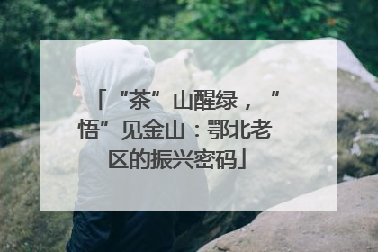 “茶”山醒绿，“悟”见金山：鄂北老区的振兴密码