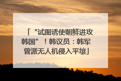 “试图诱使朝鲜进攻韩国”！韩议员：韩军曾派无人机侵入平壤