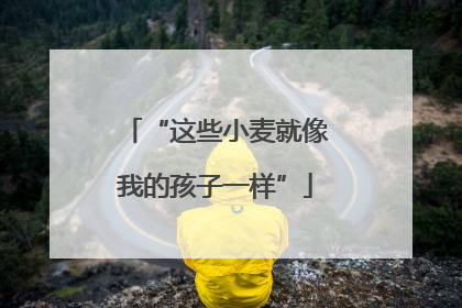 “这些小麦就像我的孩子一样”