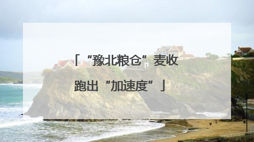 “豫北粮仓”麦收跑出“加速度”