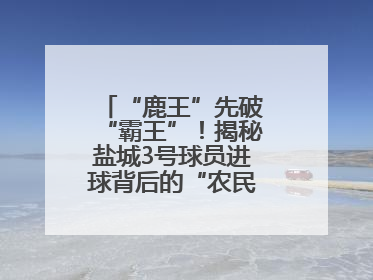 “鹿王”先破“霸王”！揭秘盐城3号球员进球背后的“农民街游侠”联盟