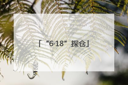 “6·18”探仓