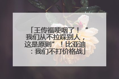 王传福哽咽了！“我们从不拉踩别人，这是原则”！比亚迪：我们不打价格战