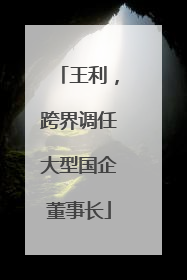 王利，跨界调任大型国企董事长