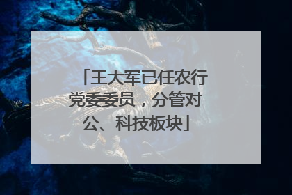 王大军已任农行党委委员，分管对公、科技板块