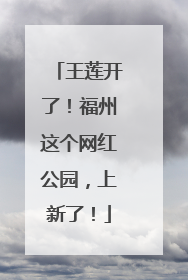 王莲开了！福州这个网红公园，上新了！