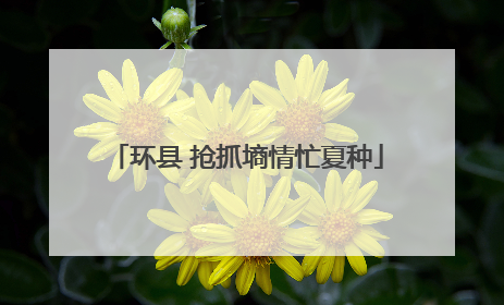 环县 抢抓墒情忙夏种