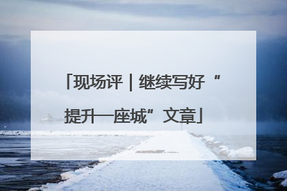 现场评｜继续写好“提升一座城”文章