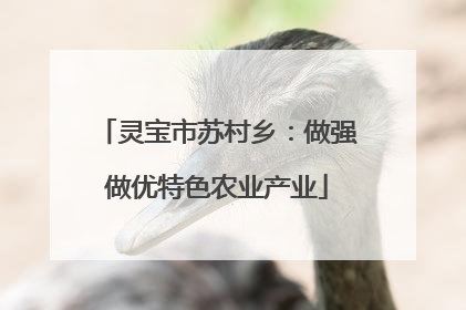 灵宝市苏村乡：做强做优特色农业产业