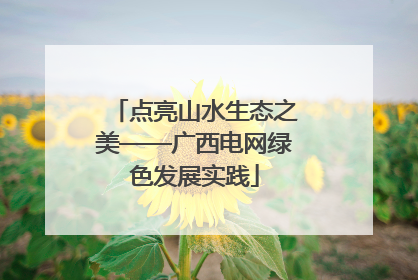 点亮山水生态之美——广西电网绿色发展实践