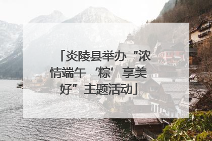 炎陵县举办“浓情端午‘粽’享美好”主题活动