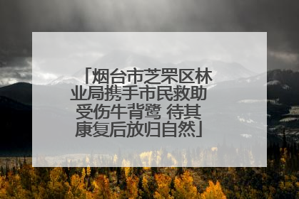烟台市芝罘区林业局携手市民救助受伤牛背鹭 待其康复后放归自然