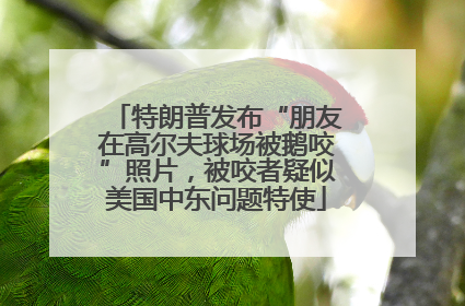 特朗普发布“朋友在高尔夫球场被鹅咬”照片，被咬者疑似美国中东问题特使