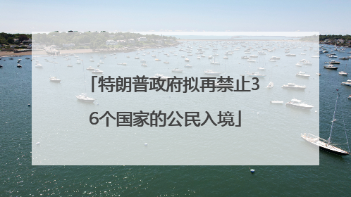 特朗普政府拟再禁止36个国家的公民入境