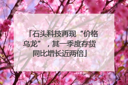 石头科技再现“价格乌龙”，其一季度存货同比增长近两倍