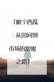 睢宁西瓜：从田间到市场的甜蜜之路