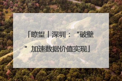 瞭望丨深圳：“破壁”加速数据价值实现