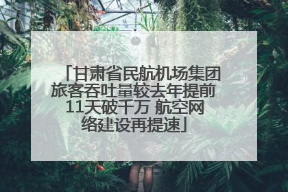 甘肃省民航机场集团旅客吞吐量较去年提前11天破千万 航空网络建设再提速