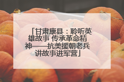 甘肃康县：聆听英雄故事 传承革命精神——抗美援朝老兵讲故事进军营
