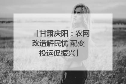 甘肃庆阳：农网改造解民忧 配变投运促振兴