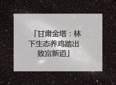 甘肃金塔：林下生态养鸡踏出致富新道