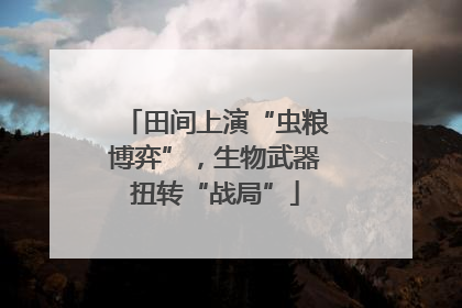 田间上演“虫粮博弈”，生物武器扭转“战局”