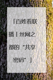 百姓看联播丨丝网之都的“共享密码”