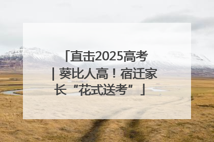 直击2025高考｜葵比人高！宿迁家长“花式送考”
