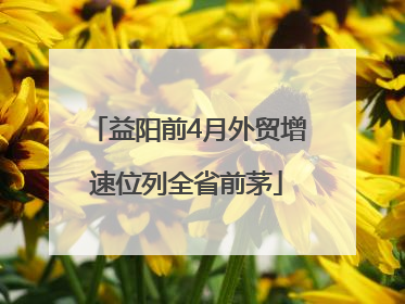 益阳前4月外贸增速位列全省前茅