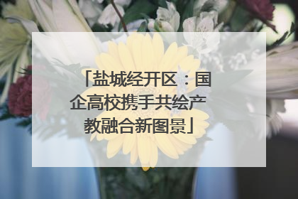 盐城经开区：国企高校携手共绘产教融合新图景